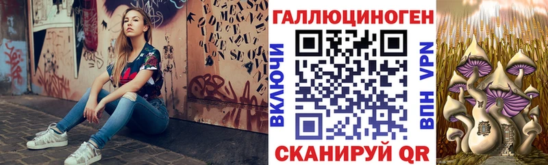 Псилоцибиновые грибы Magic Shrooms  магазин продажи наркотиков  Шелехов 
